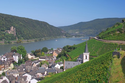 Village Assmanhausen On the Rhine.